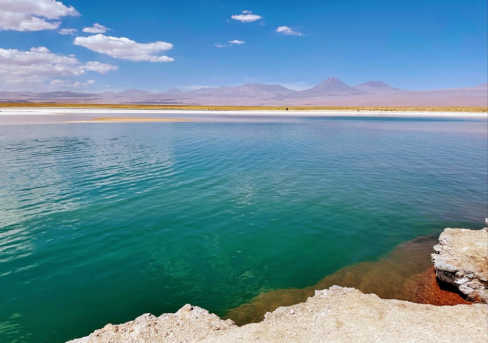 Laguna Cejar