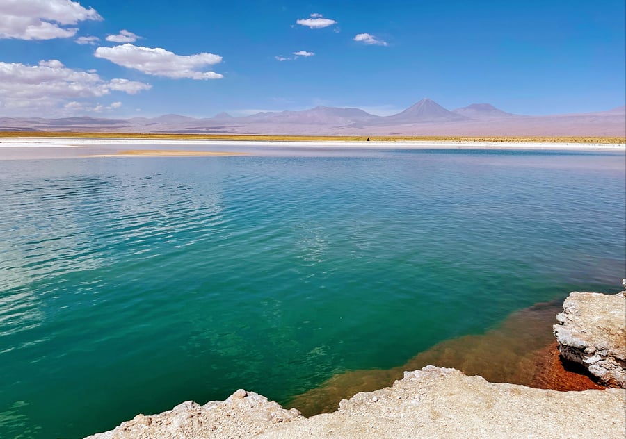 Laguna Cejar