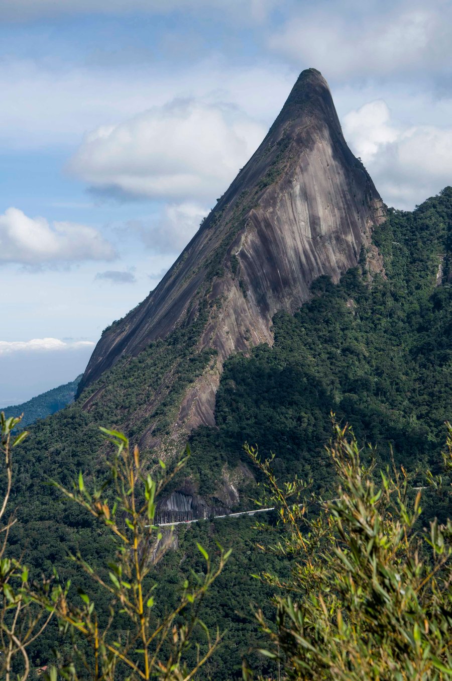 Escalavrado