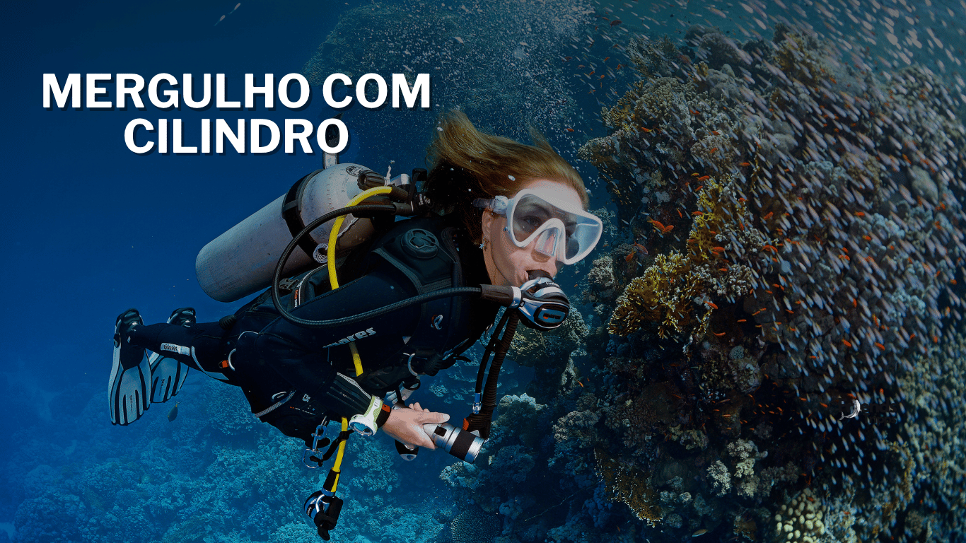 MERGULHO NAS ILHAS TIJUCAS