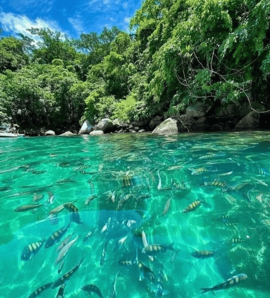 ILHA DOS COCOS