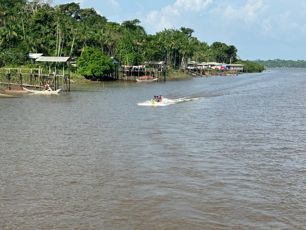 Embarque na Imensidão Amazônica