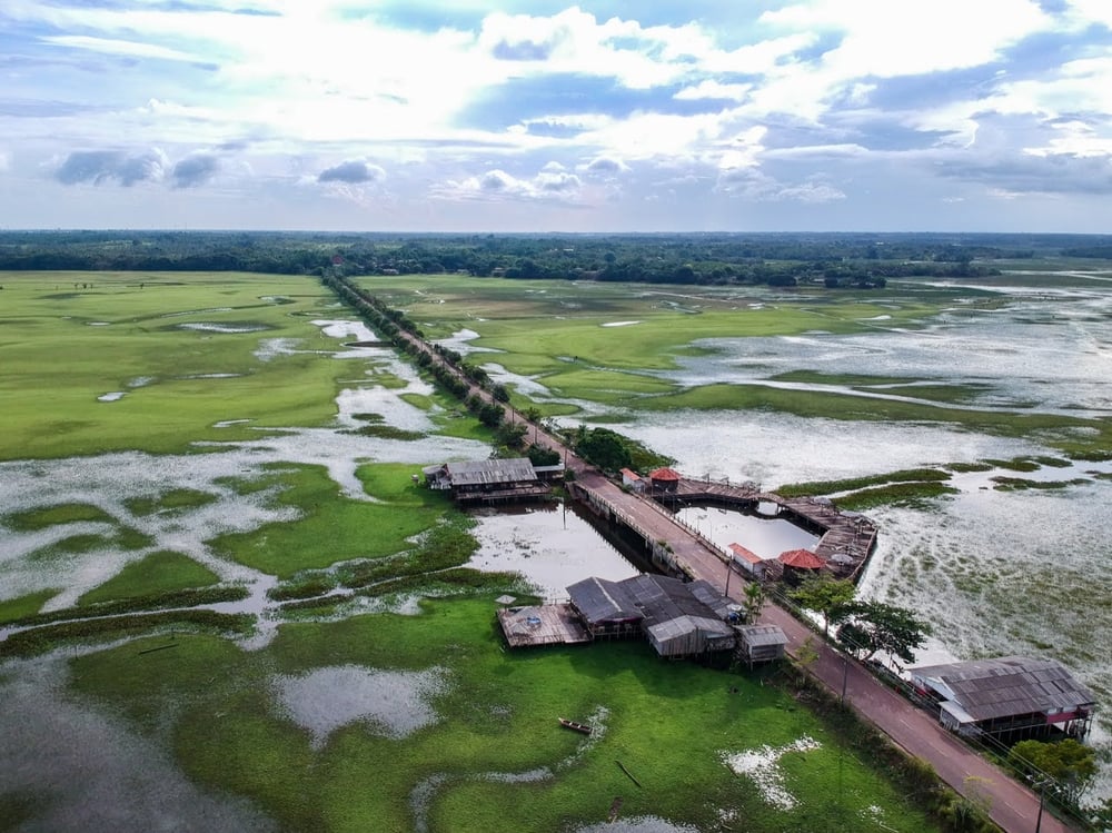 APA do Curiaú. Unidade de Consevação localizada em Macapá (Foto: Giordano Santana).