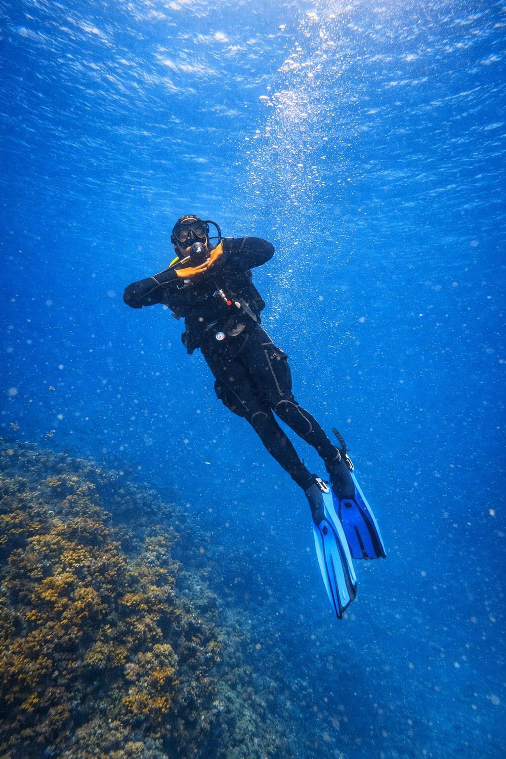 Mergulho de Batismo Embarcado em Arraial do Cabo