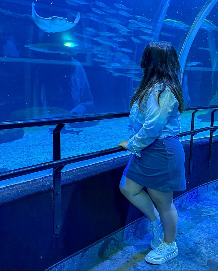  AquaRio Rio de Janeiro – Experiência Premium com Registros Exclusivos