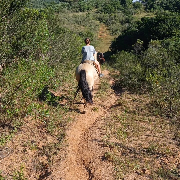 Trilha montada a cavalo
