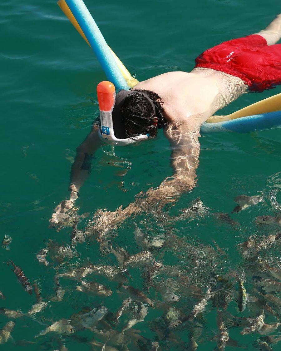 peixes em ilha dos cocos