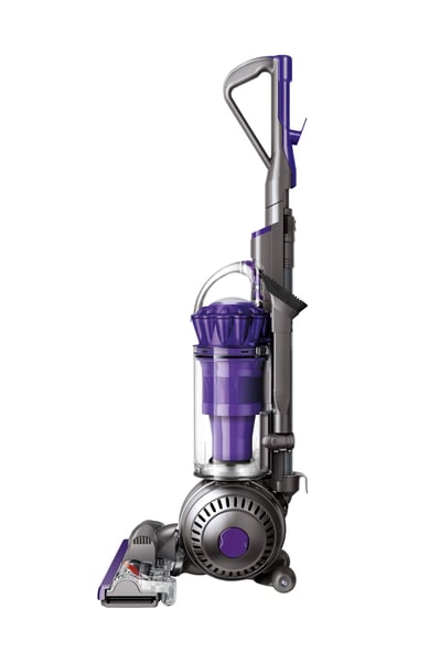 Dyson Big Ball Animal 2