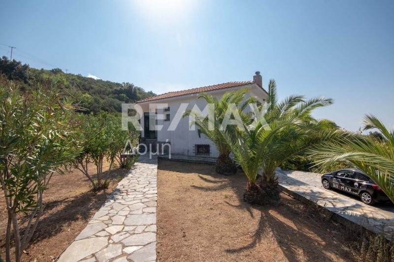 Luxury 3 Bedroom Detached House in Thessalia, Magne.. Homestra