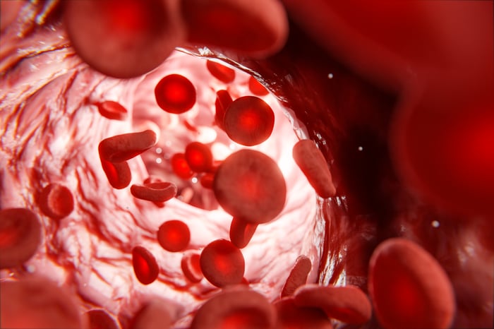 Eritrosit(RBC) Nedir?