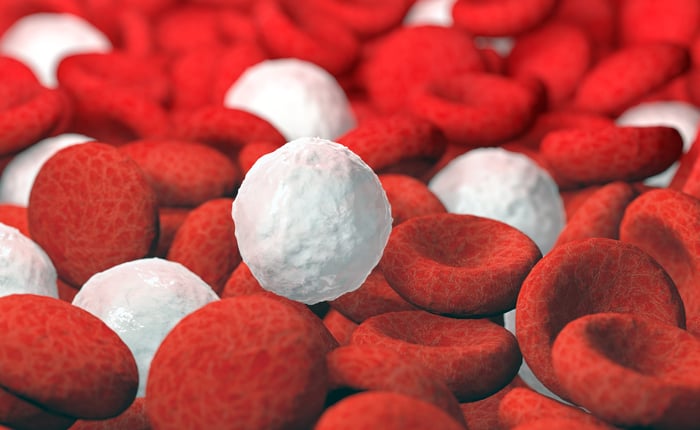 LYM (Lenfosit) Nedir?