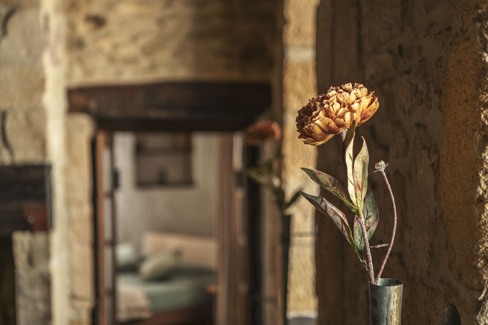 Le Petit Château - centre de sarlat – photo 17 sur 35