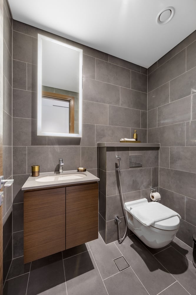 Second bathroom with wall-hung toilet and mirror
