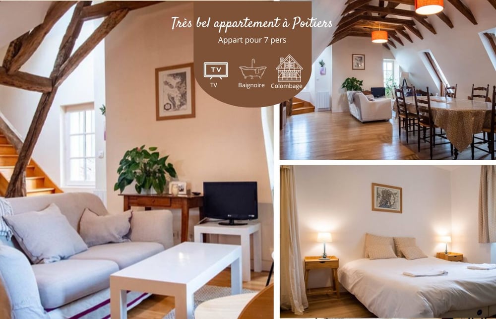 Beautiful apartment in Poitiers