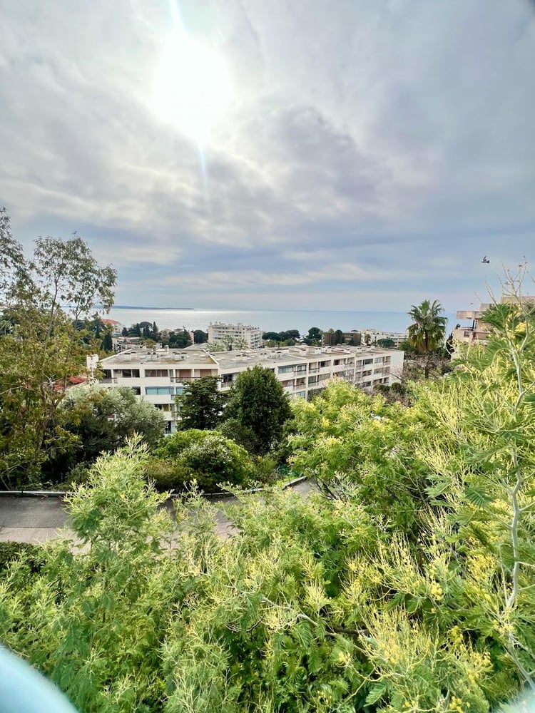 Le Petit Cannois - Climatisé et vue mer – photo 12 sur 14