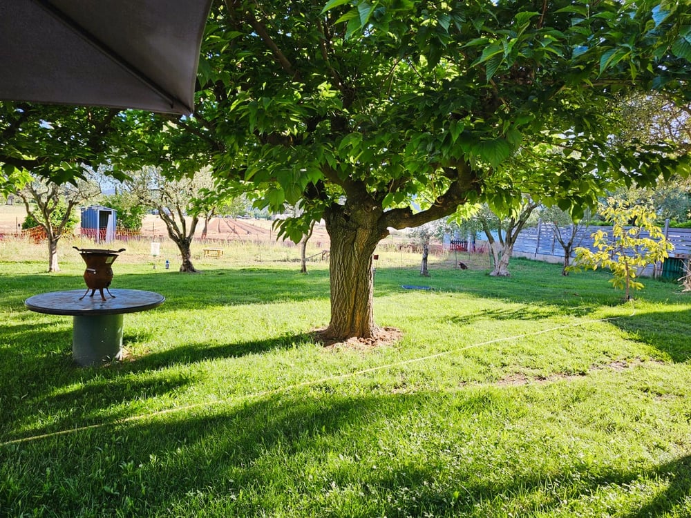 Le Petit Maraîcher : Terrasse & Calme Absolu – photo 9 sur 18