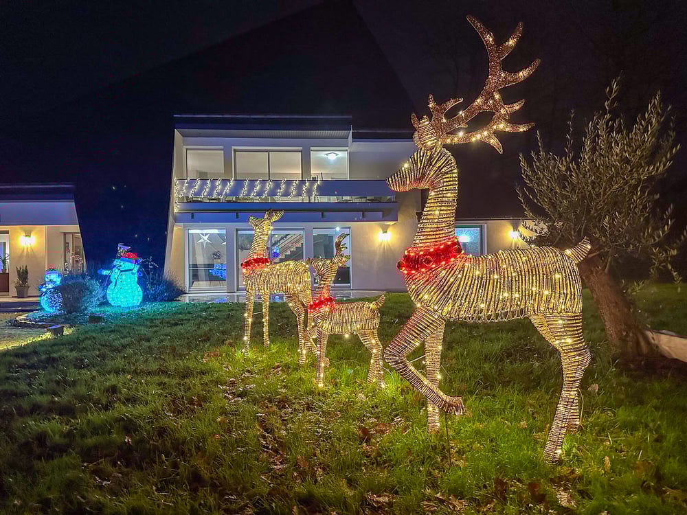 Villa with swimming pool, cinema, private grounds