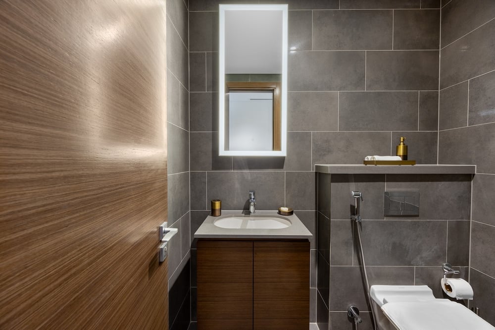 Second bathroom with vanity, shower and toilet