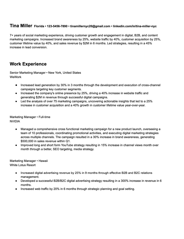 Google Docs Resume Template 2