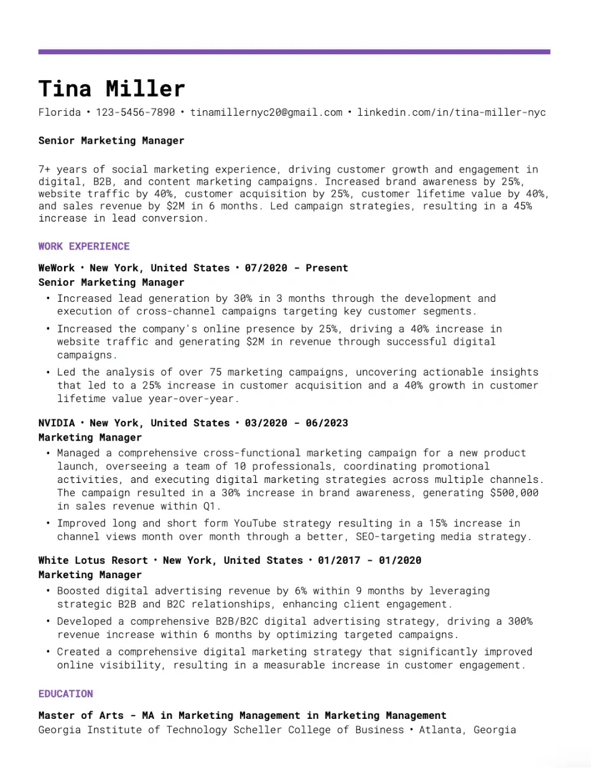 Sleek Professional Resume