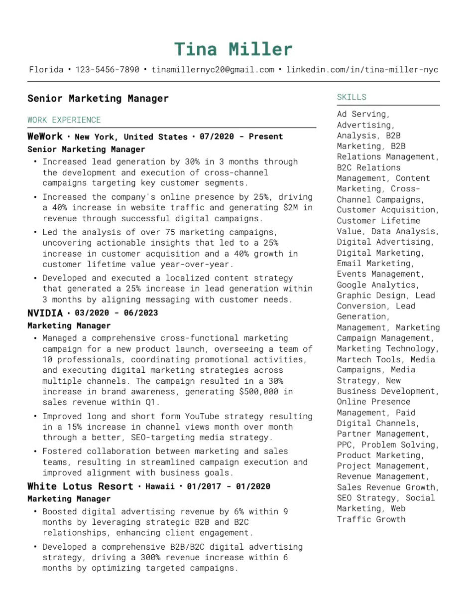 Sleek Chronological Resume