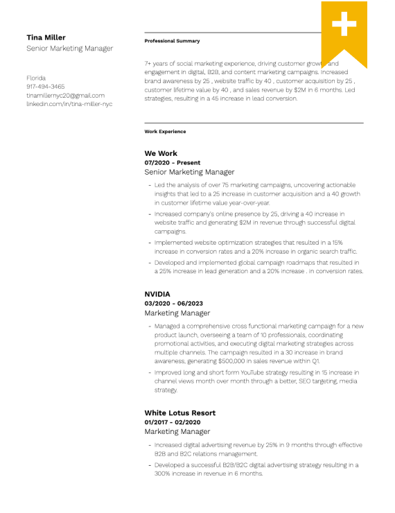 Academic Resume Template Teal plus