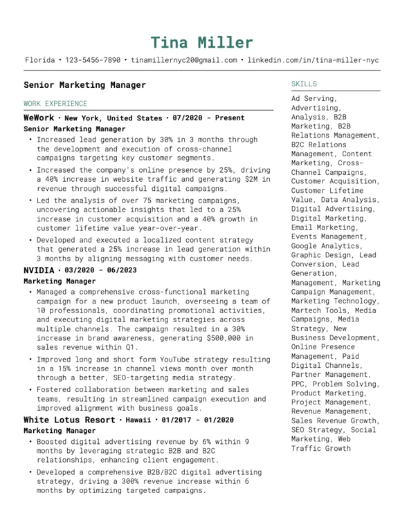 Sleek Chronological Resume