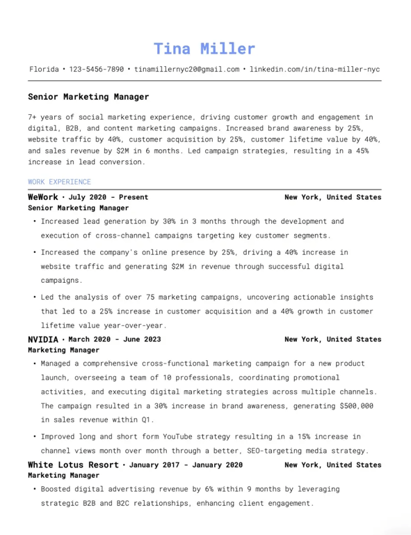 Contemporary Professional Resume Template