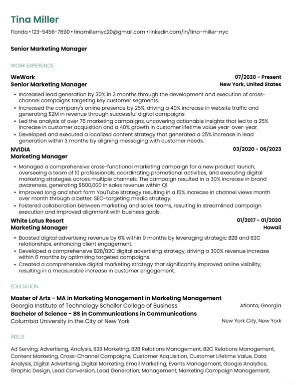 Professional Precision Resume Template