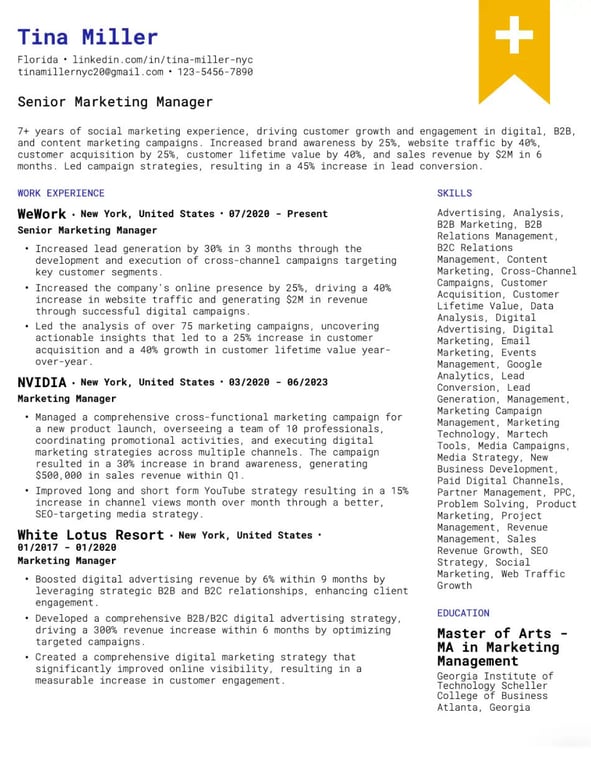 Dynamic Professional Resume