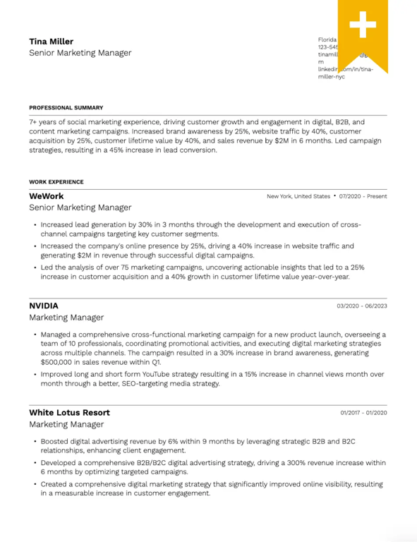 Bold Efficient Resume Template