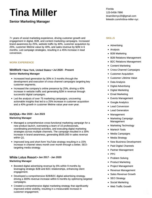 Modern Technical Resume Template