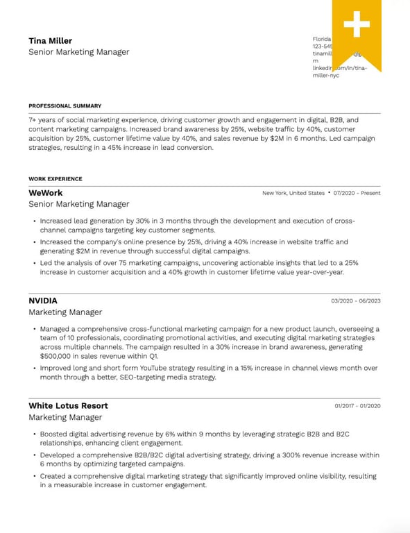 Bold Sectioned Resume Template