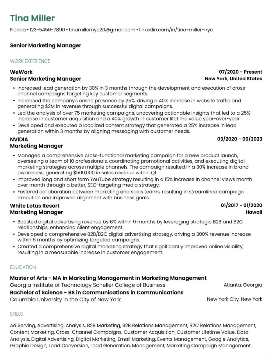 Professional Precision Resume Template