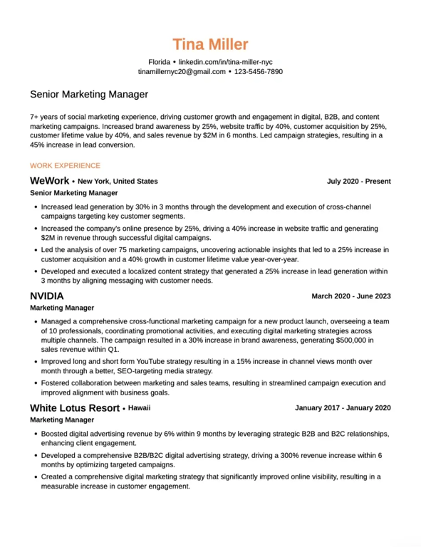 Classic Professional Resume Template