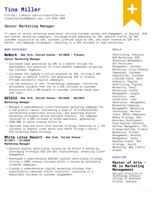 Dynamic Professional Resume