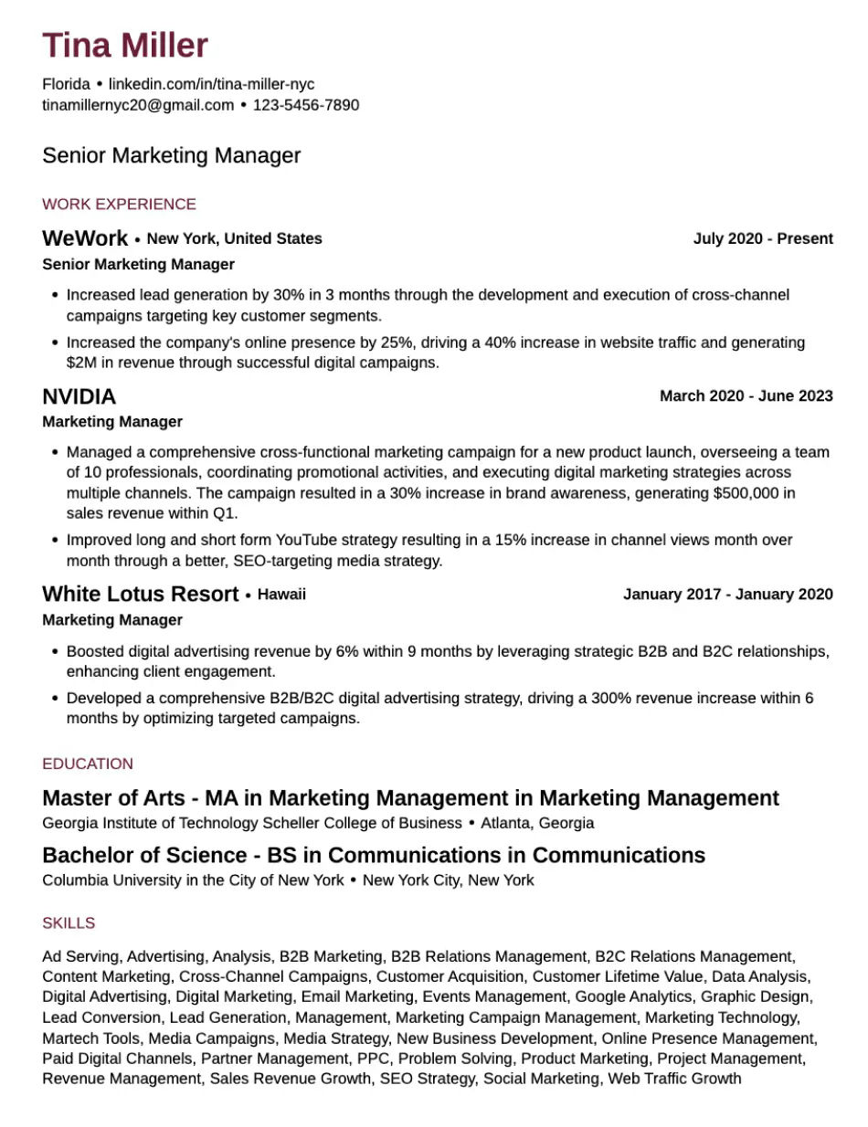 Modern Student Resume