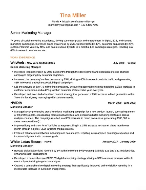 Classic Professional Resume Template