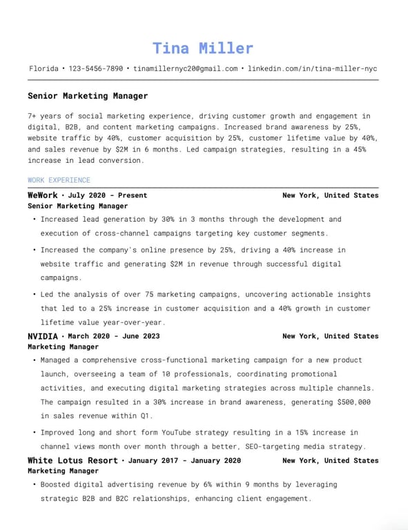 Contemporary Professional Resume Template