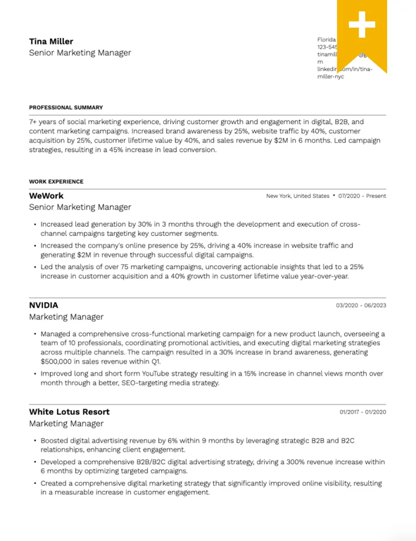 Condensed Professional Resume