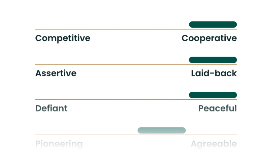 See Your Personalized Career Insights