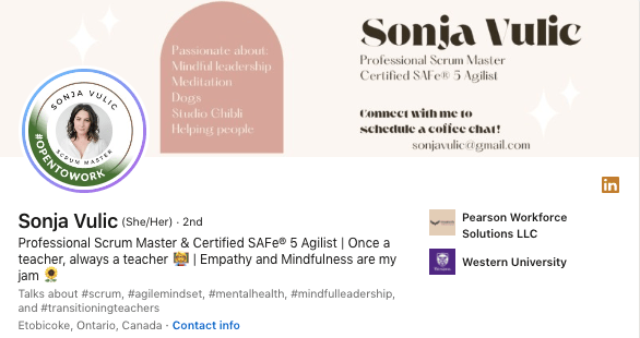Sonja Vulic LinkedIn