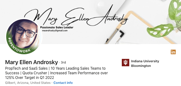 Mary Ellen Androsky LinkedIn