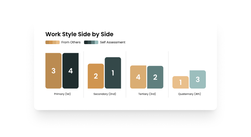 Teal work style assessment
