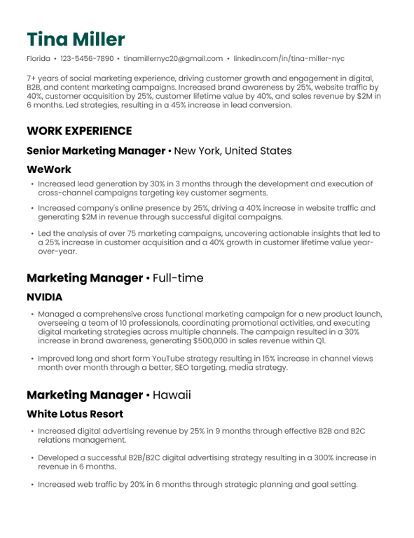One-page mini resume example