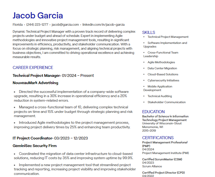 technical project manager cv