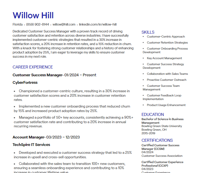 customer success manager cv