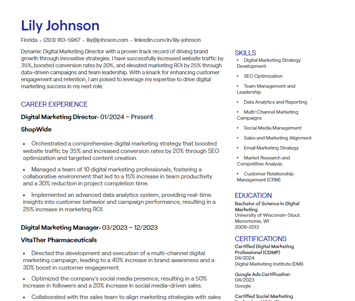 digital marketing director cv