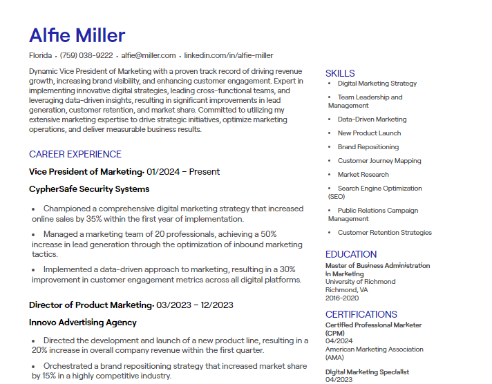 vice president of marketing cv