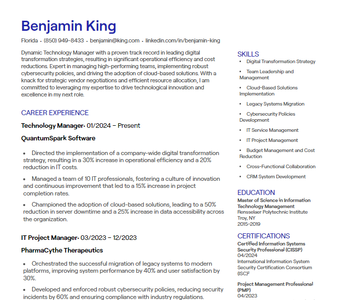 technology manager cv